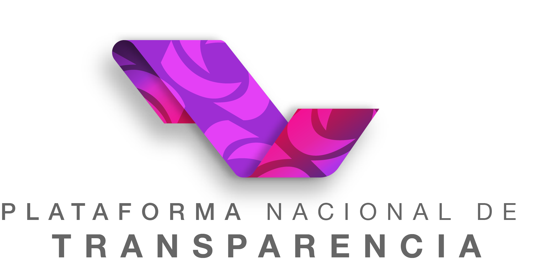 Plataforma Nacional de Transparencia Denuncia Ciudadana
